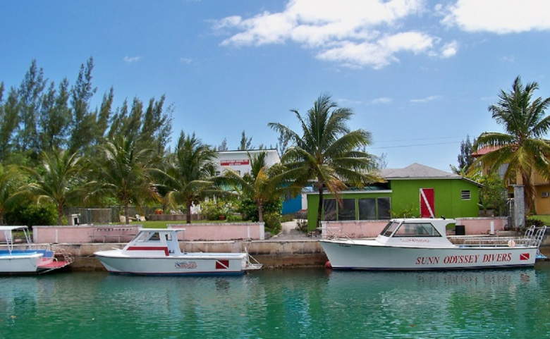 Grand Bahama Island Zip Line